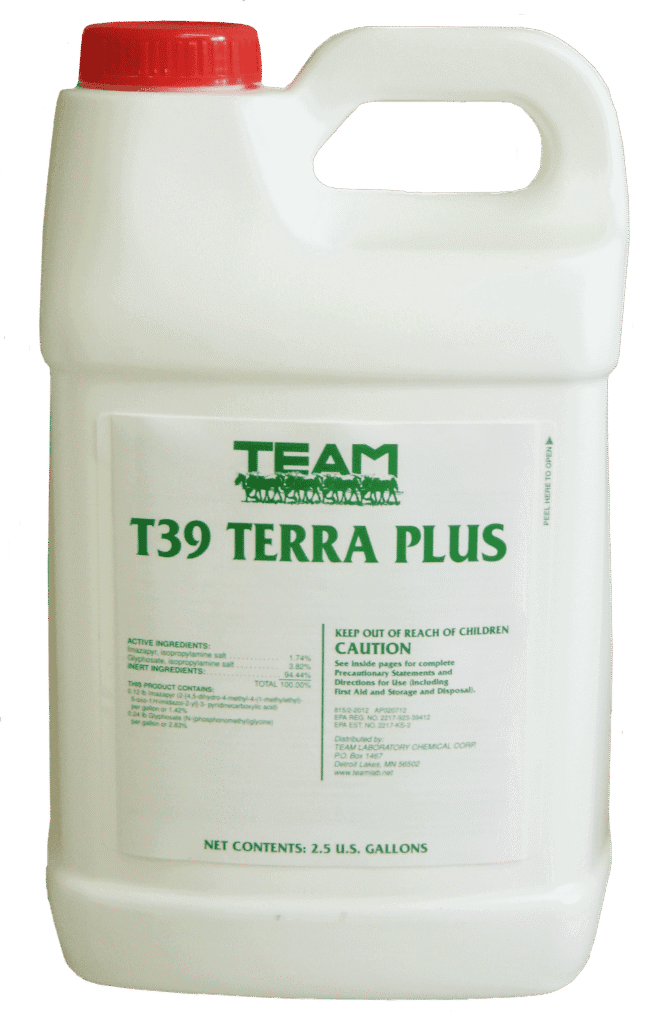 Terra Plus from Team Lab