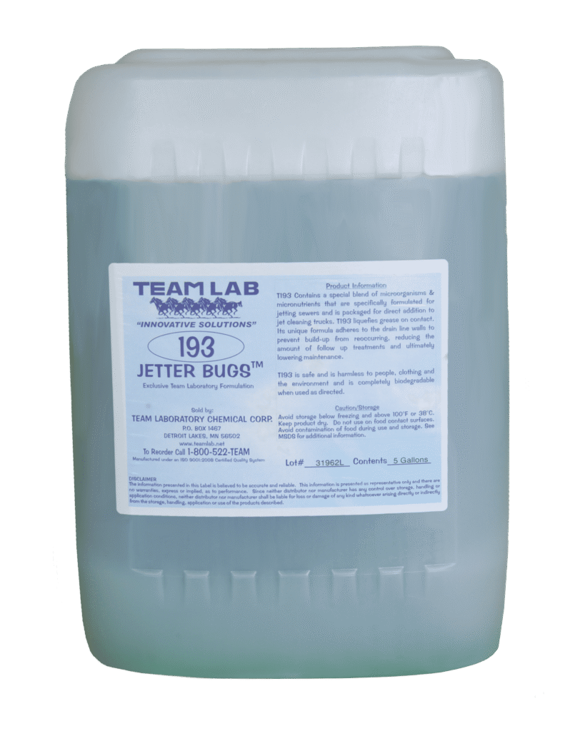 Jetter Bugs from Team Lab