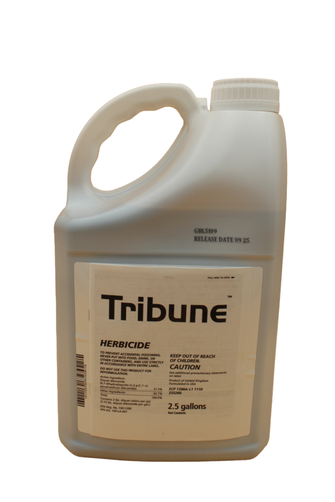 Tribune from Team Lab