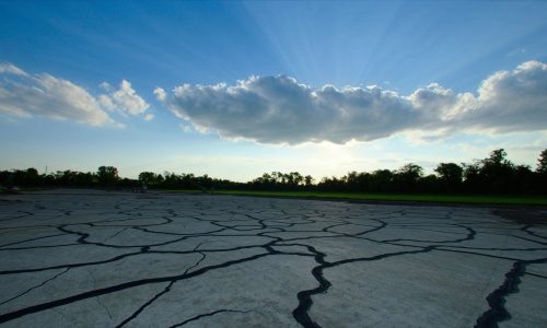 Black crack sealant filling a network of cracks across a weathered paved lot.